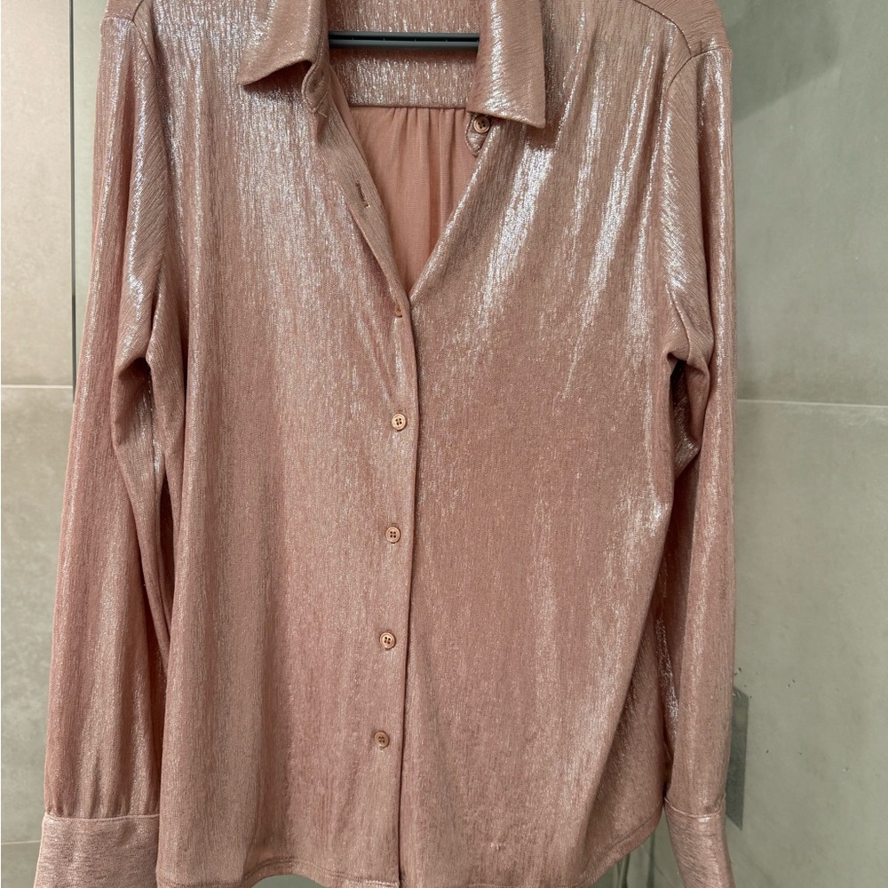 Skies Are Blue Metallic Button Down Shirt and Matching Skirt in Rose Gold Set